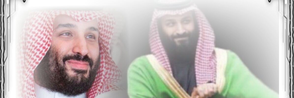 faizaboashi's profile banner image