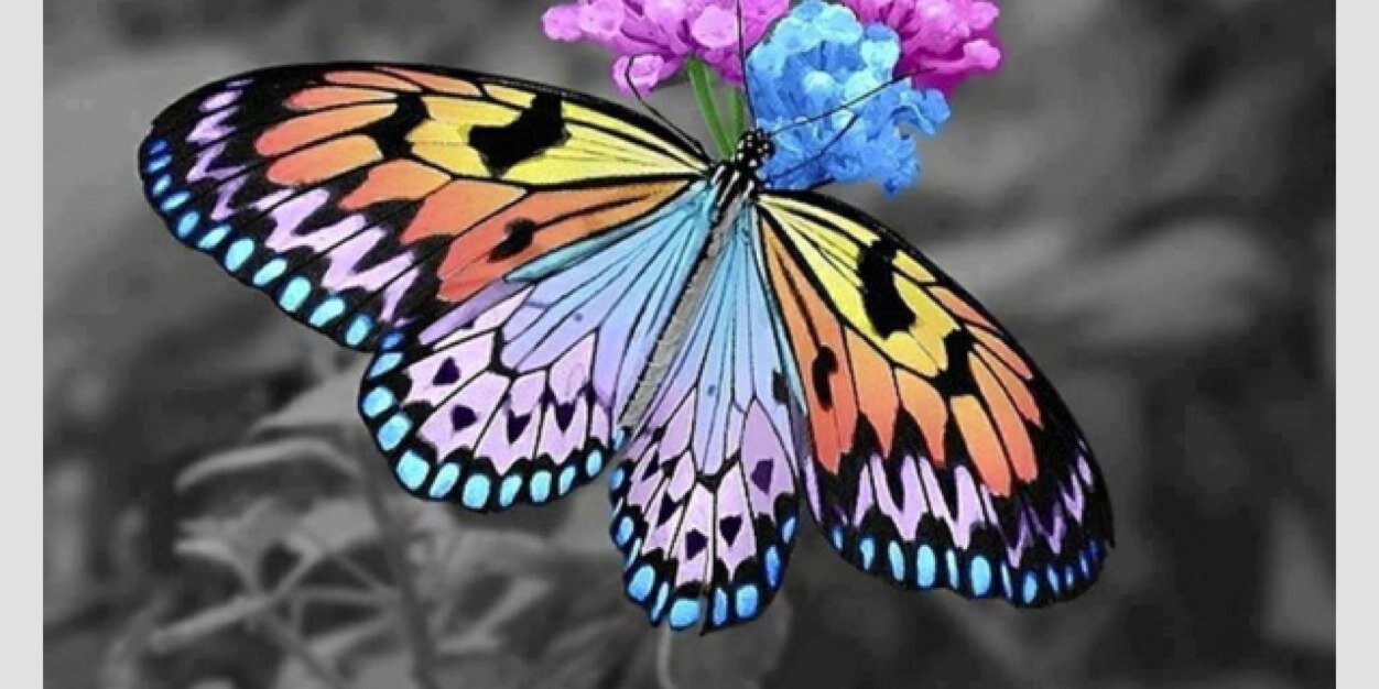 Debraslife's profile banner image