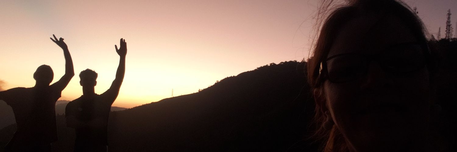 sandraboesi's profile banner image