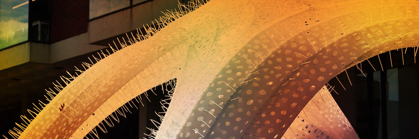 UVA Architecture's banner