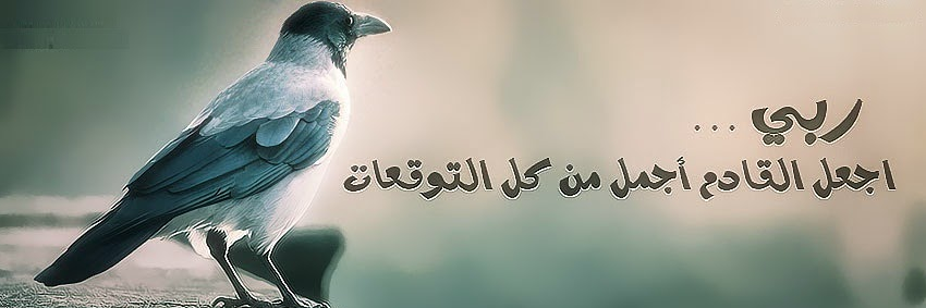 3zf_Meme's profile banner image