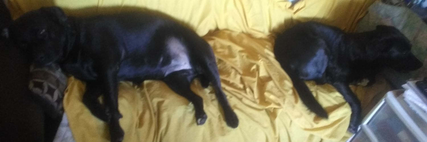 80bigcheese's profile banner image