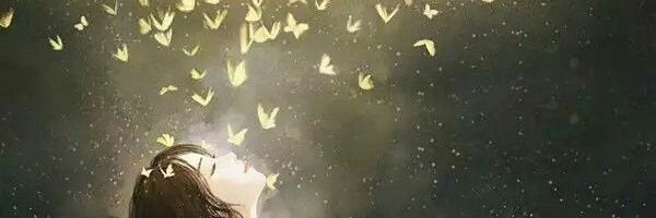BerePenilla's profile banner image
