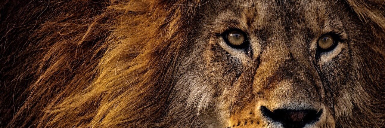 coreybaum79's profile banner image