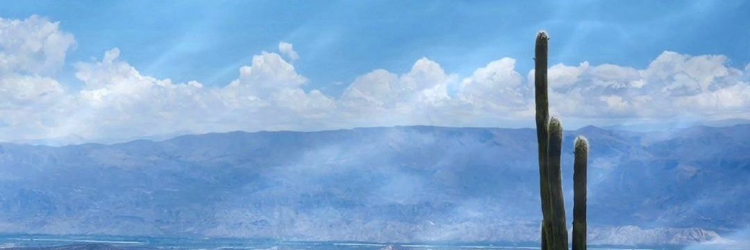 CamburBlanco's profile banner image