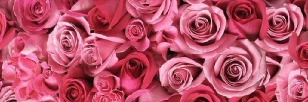 Sierra_LaSchae's profile banner image