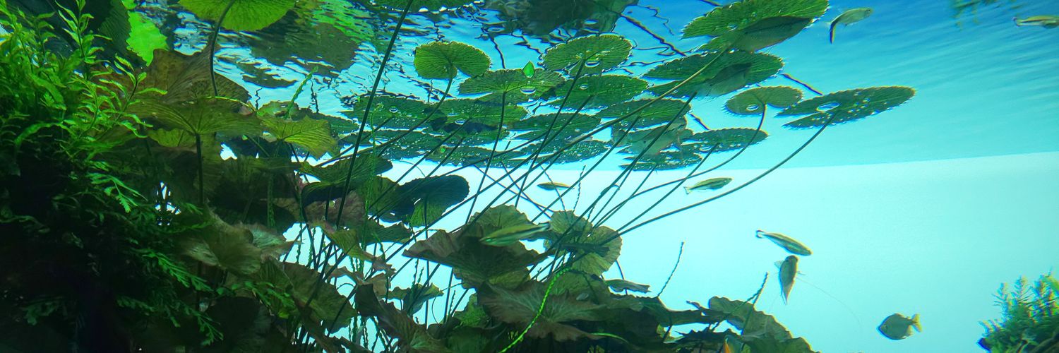 Morokuma24's profile banner image