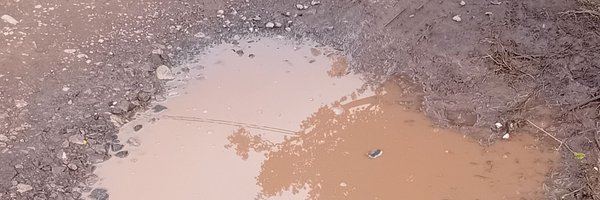 RogerMaddocks Profile Banner