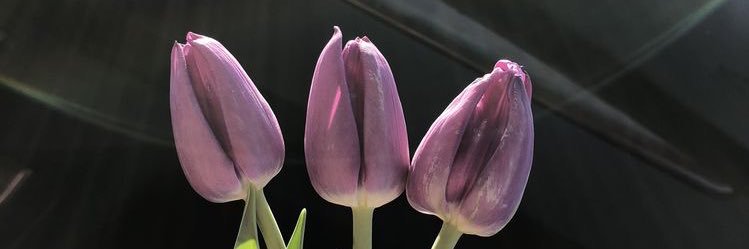 marbeauu's profile banner image