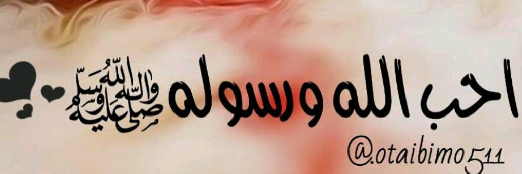 أحب الله ورسولهﷺ ♡ banner