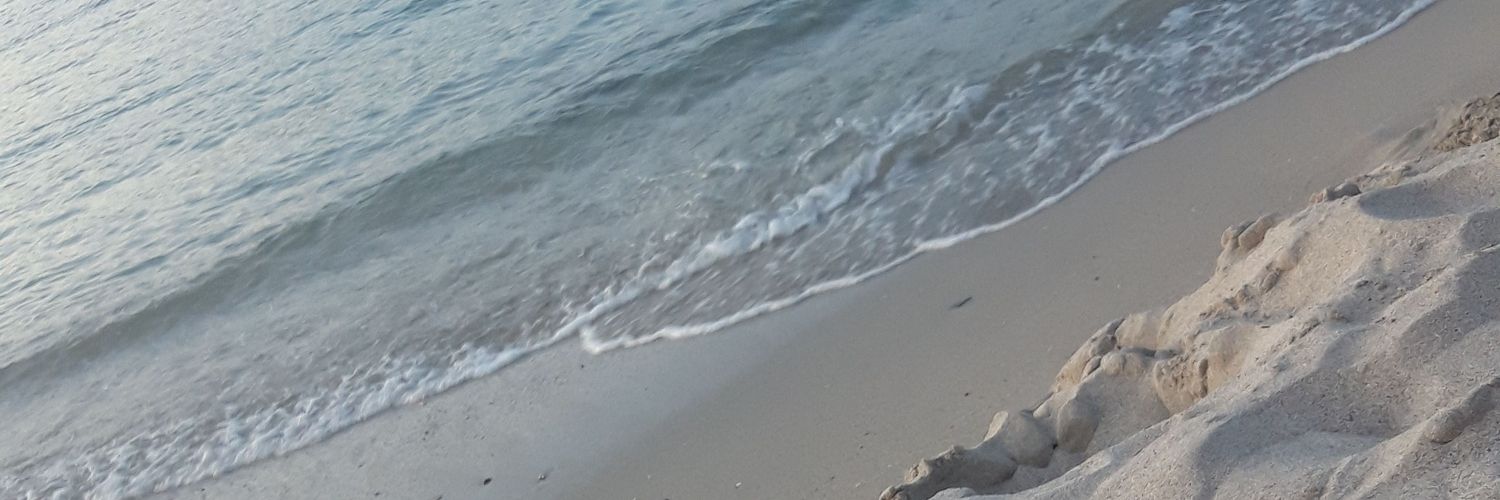 Ing_972's profile banner image