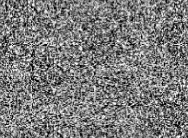 neneospispi's profile banner image