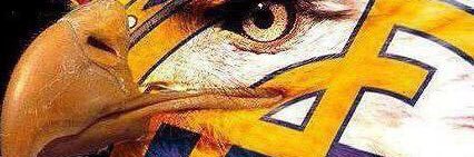 adelro3's profile banner image