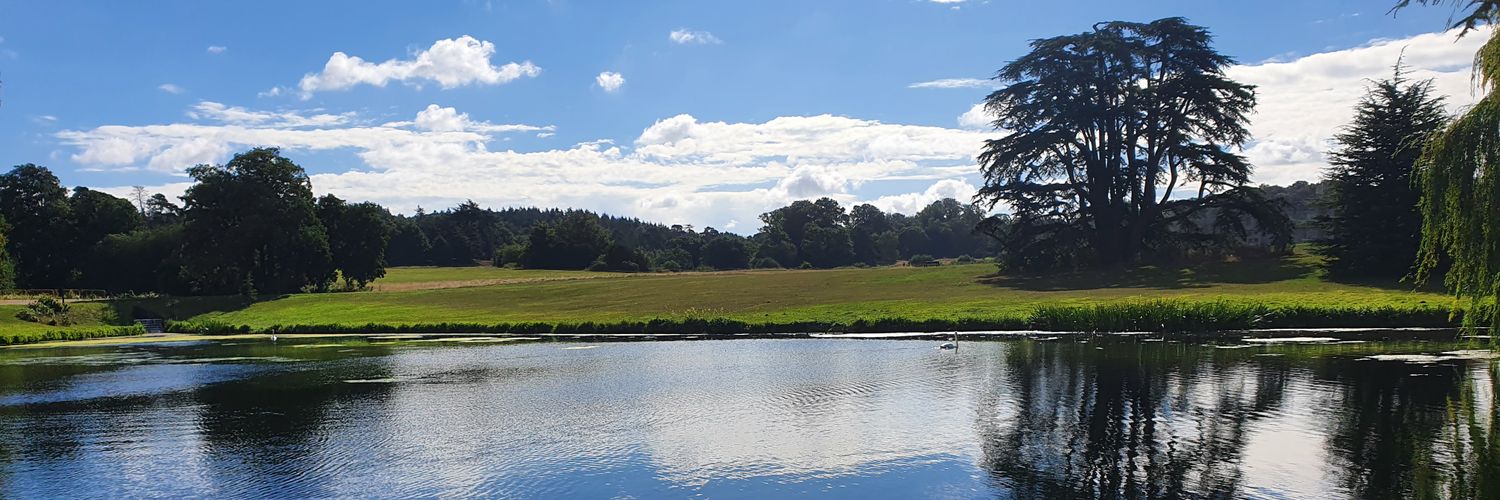 GeorgieWats's profile banner image