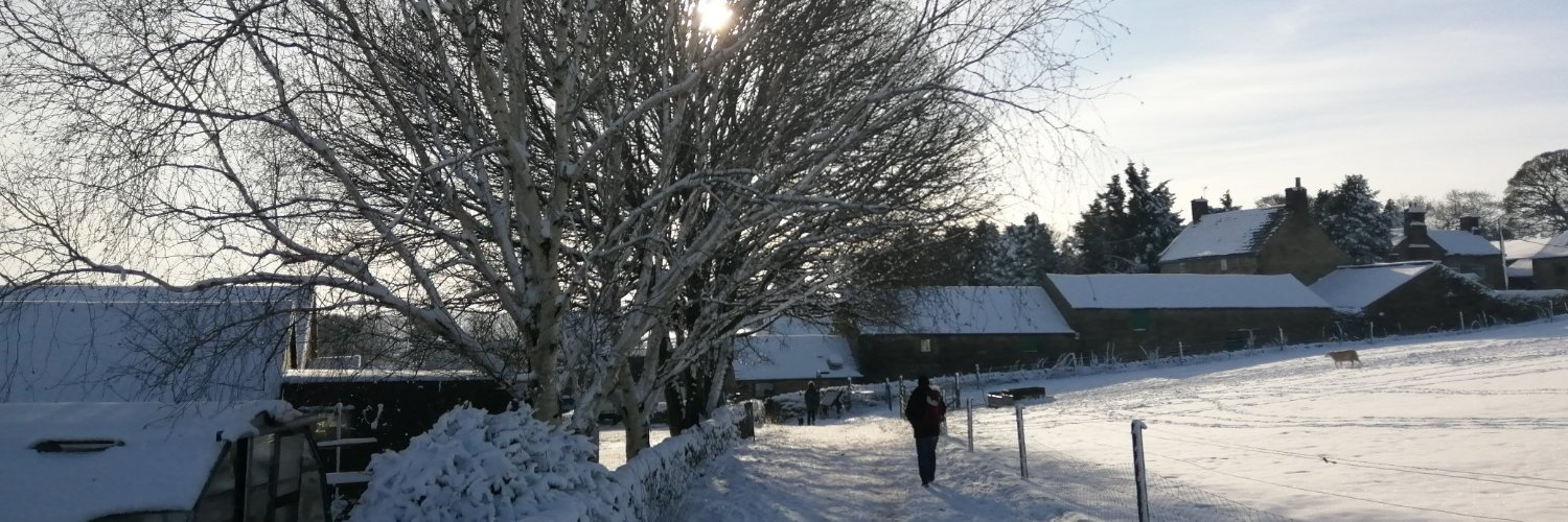 Jane Thomas 🌹 banner