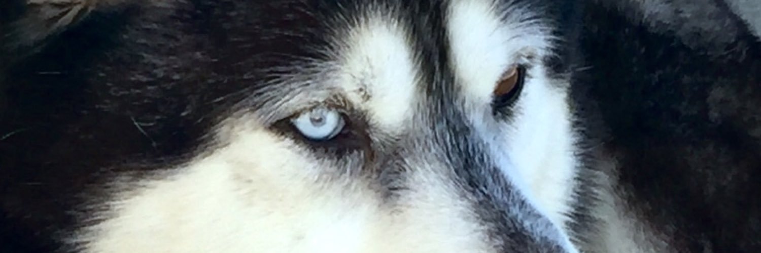 tamara_ramiro's profile banner image