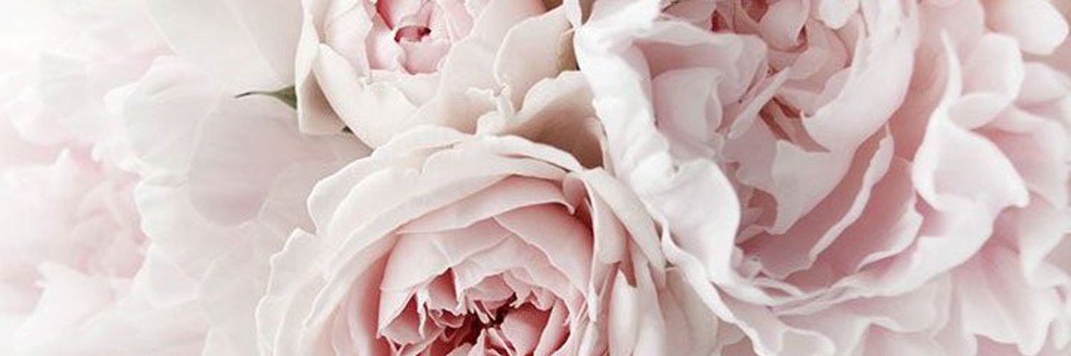 NouraZhh's profile banner image