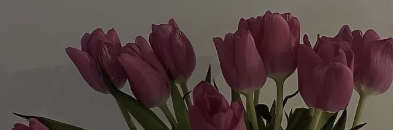 LissettePale's profile banner image