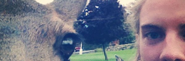 Brianislion Profile Banner