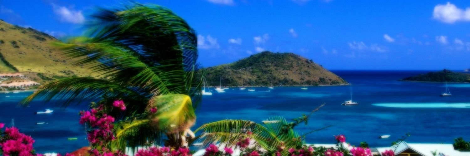 AsianItch's profile banner image