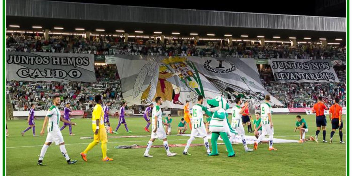 DCalvo7's profile banner image