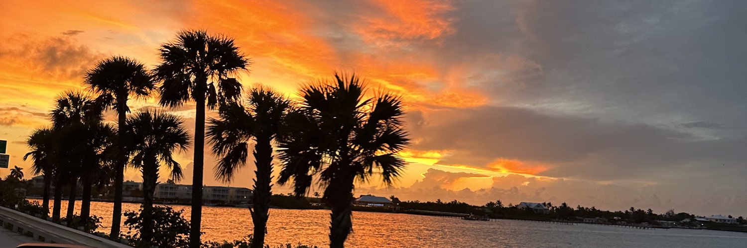 Courtneylaurel's profile banner image