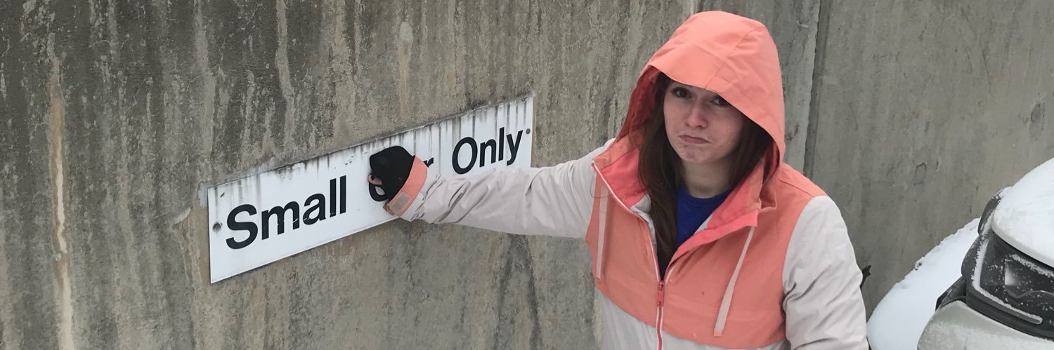 AdaraaZulloo's profile banner image