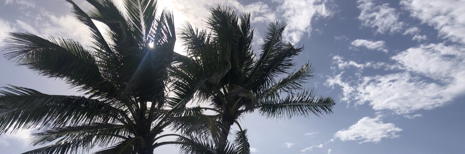 shannonsviews's profile banner image