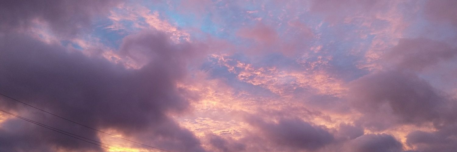 ElizabethMondy's profile banner image