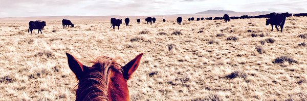 shilayagrange44 Profile Banner