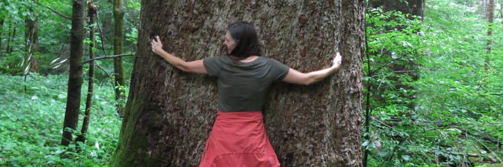 DebbyVance's profile banner image
