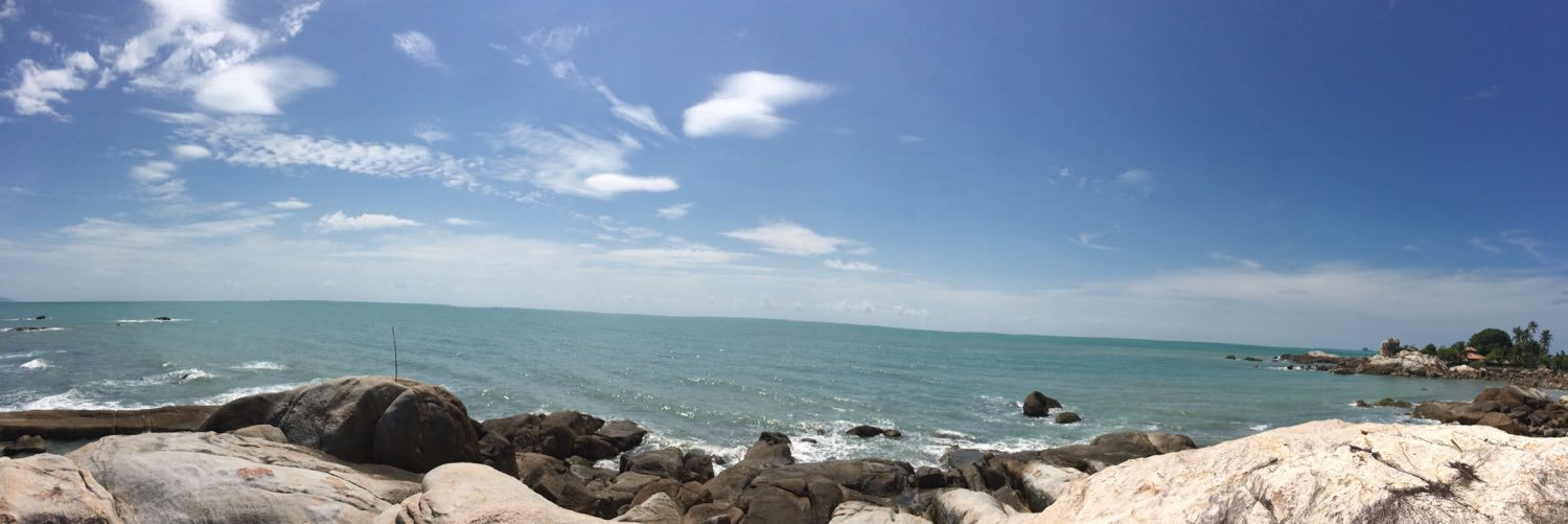 shinttyaa's profile banner image