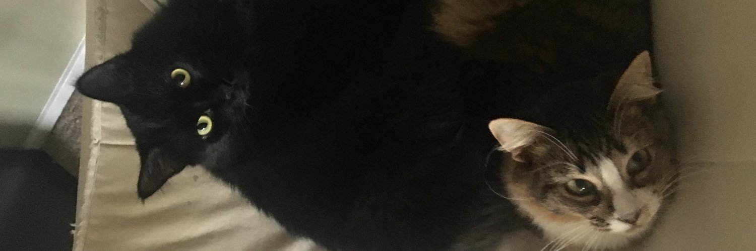 BeccaDatAssUp's profile banner image