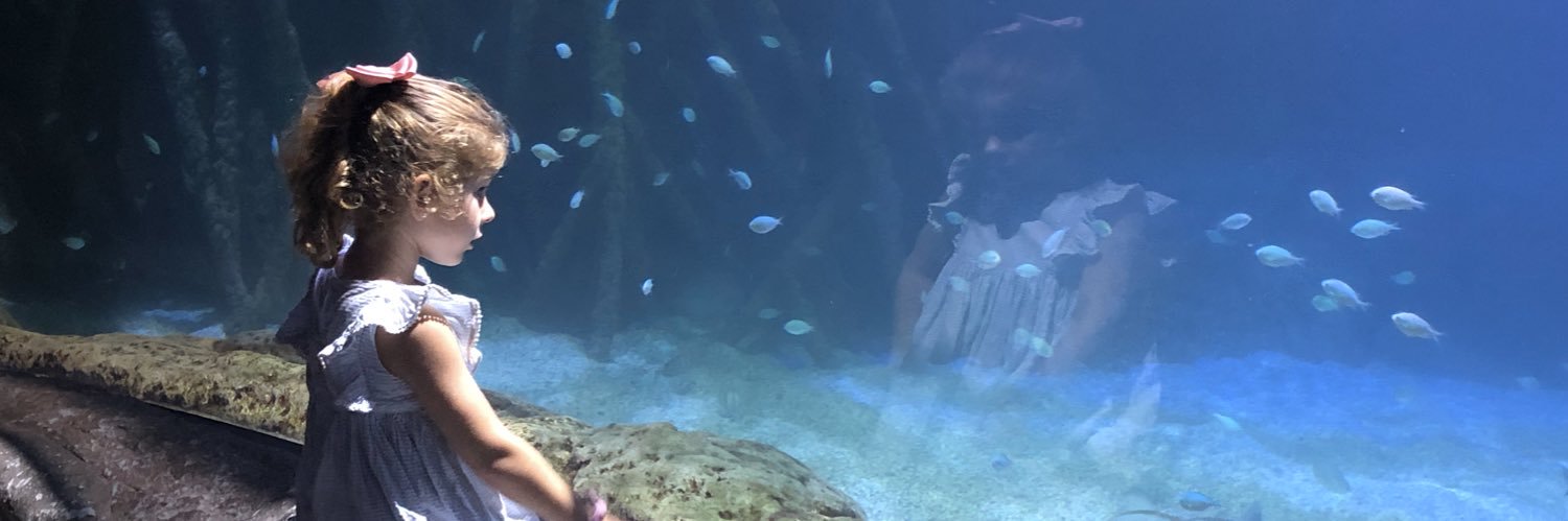 Delfin Gandiaga banner