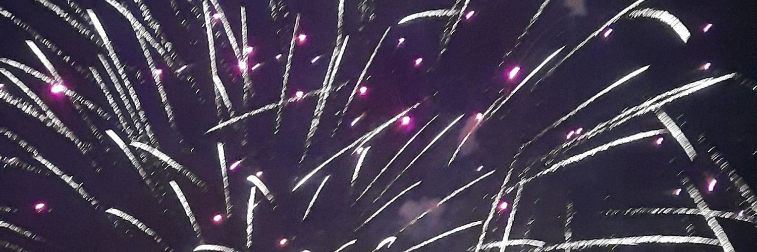 renatalego's profile banner image
