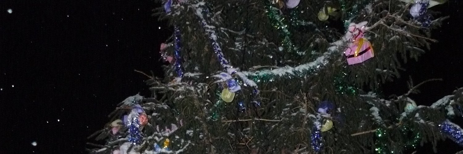 Rosexx91's profile banner image