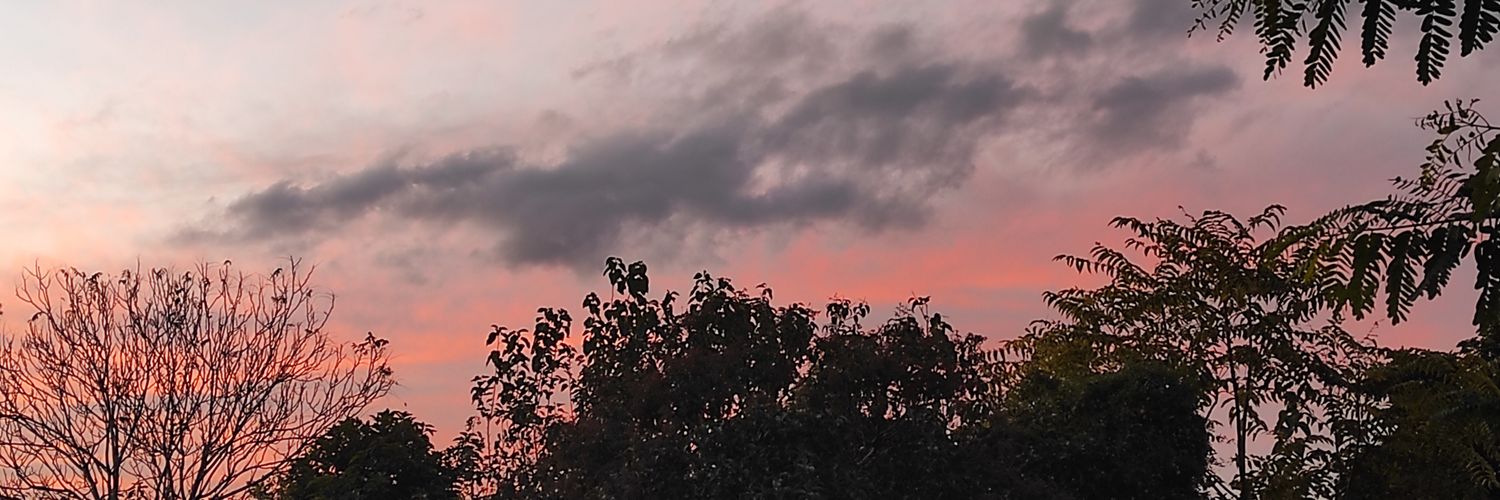LopezSol_02's profile banner image