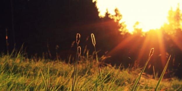 ChelyNicole's profile banner image