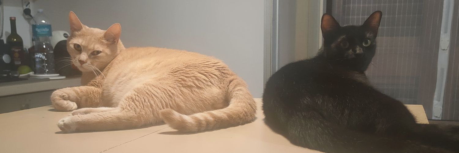BeppeBarry's profile banner image