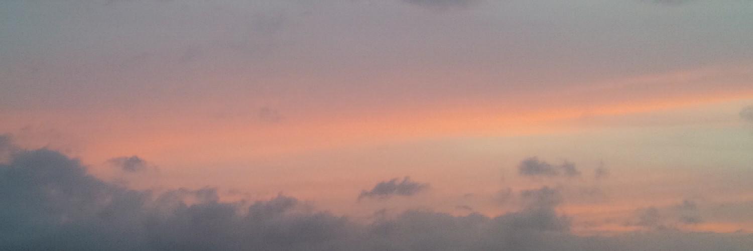 ly1991's profile banner image