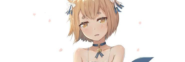 Kittenlilboy's profile banner image