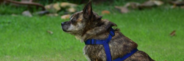 kmilem51 Profile Banner