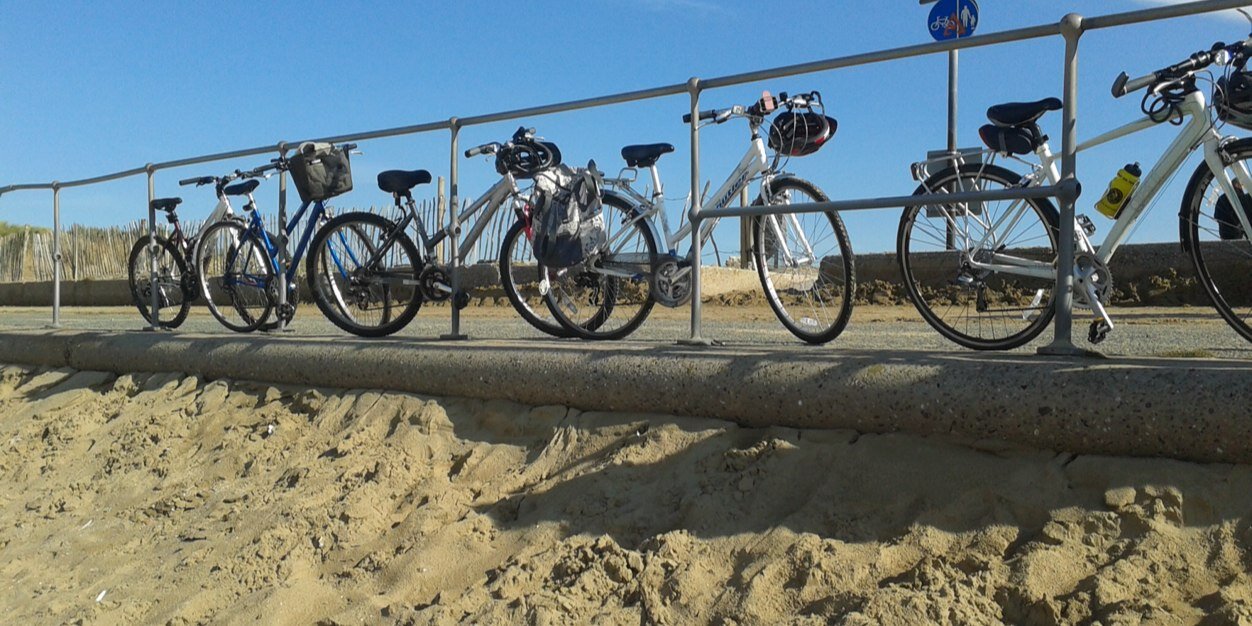 Emma Thompson banner