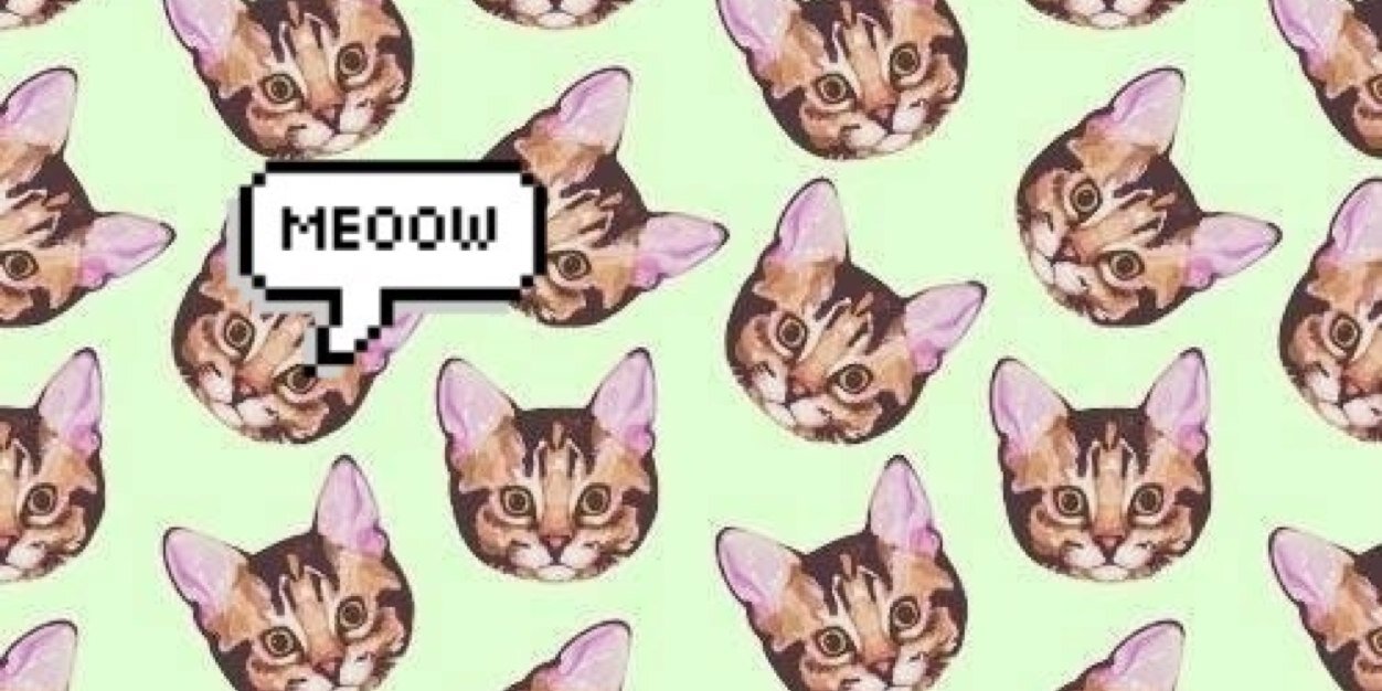 Michellebcv's profile banner image
