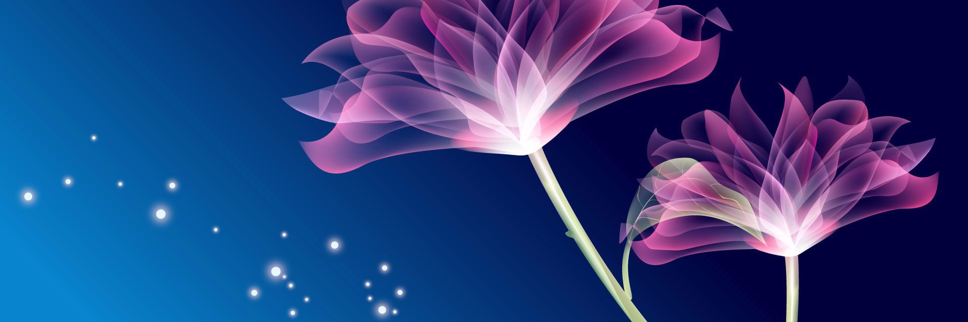 TrinitysBooks's profile banner image