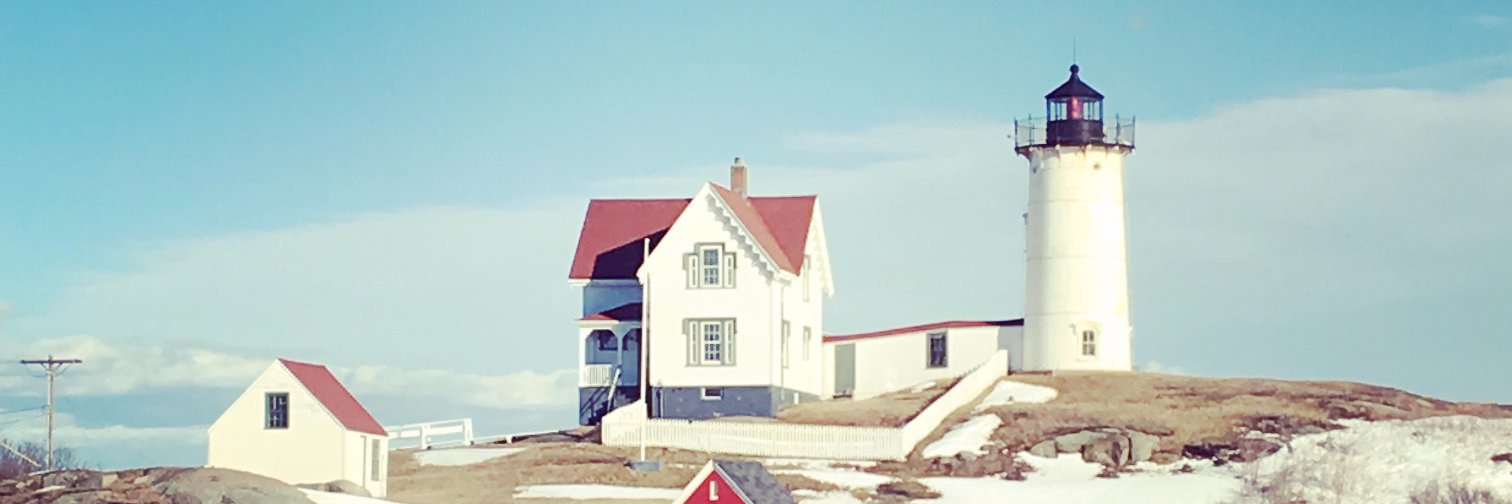 Tulipzag's profile banner image