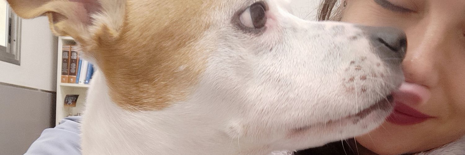 VegaraMary's profile banner image