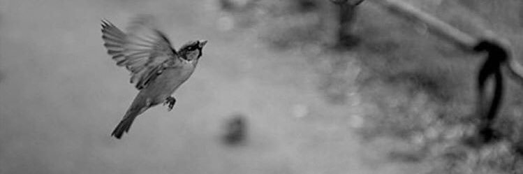 ankhaa_tt's profile banner image