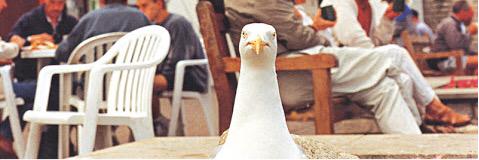 NickyArnall's profile banner image