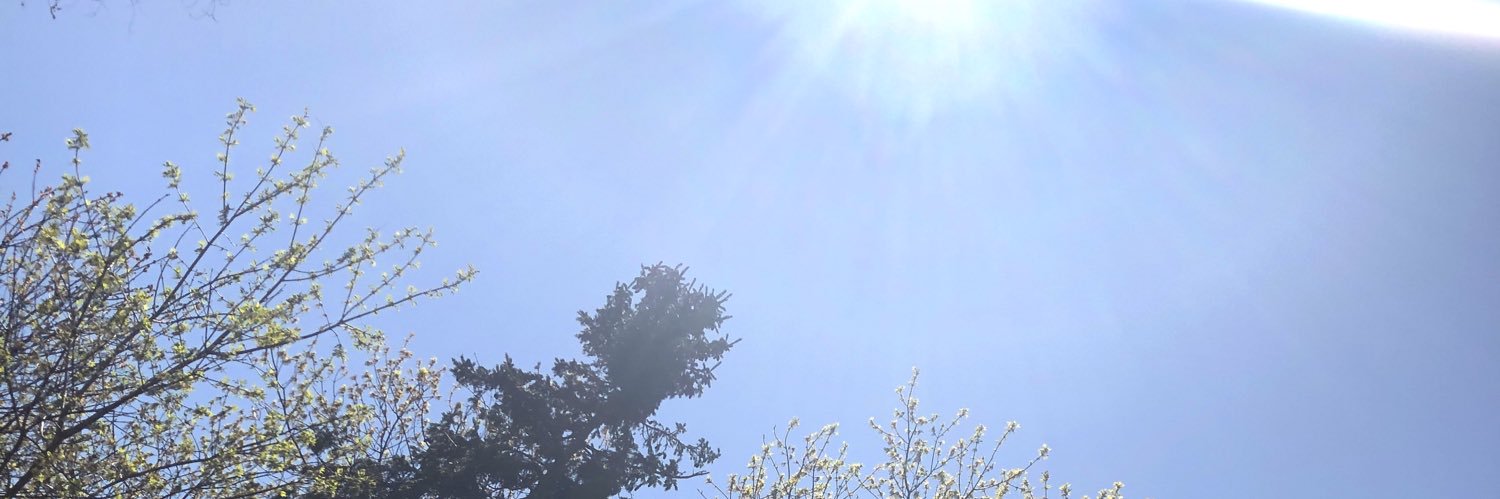 taylorkellnn's profile banner image